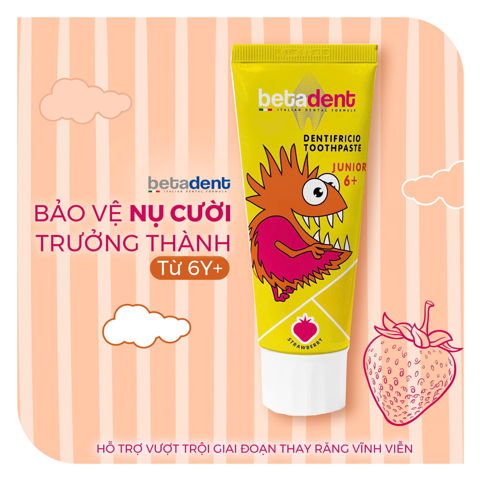 Z6560822880528 6436956d9bc3a6e00ad7fc565369d07b