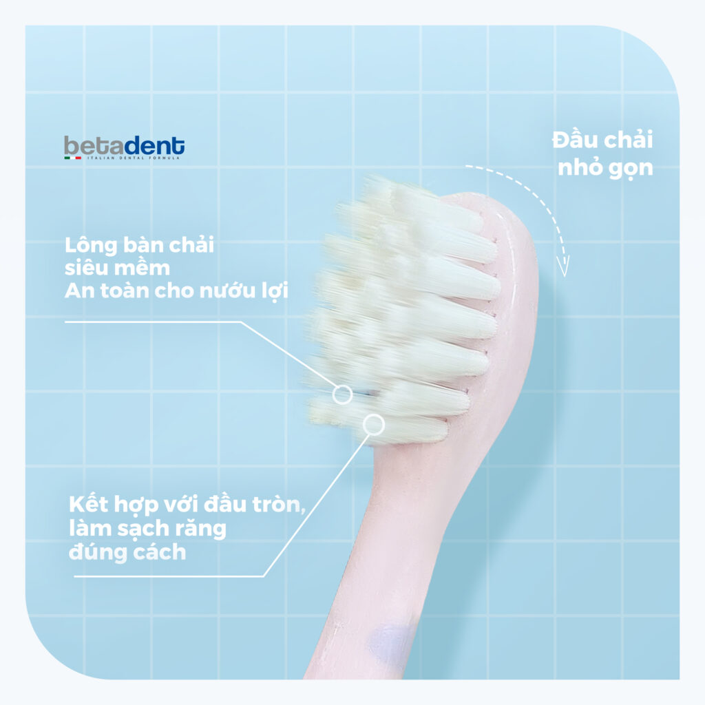 Kết Cấu Bàn Chải