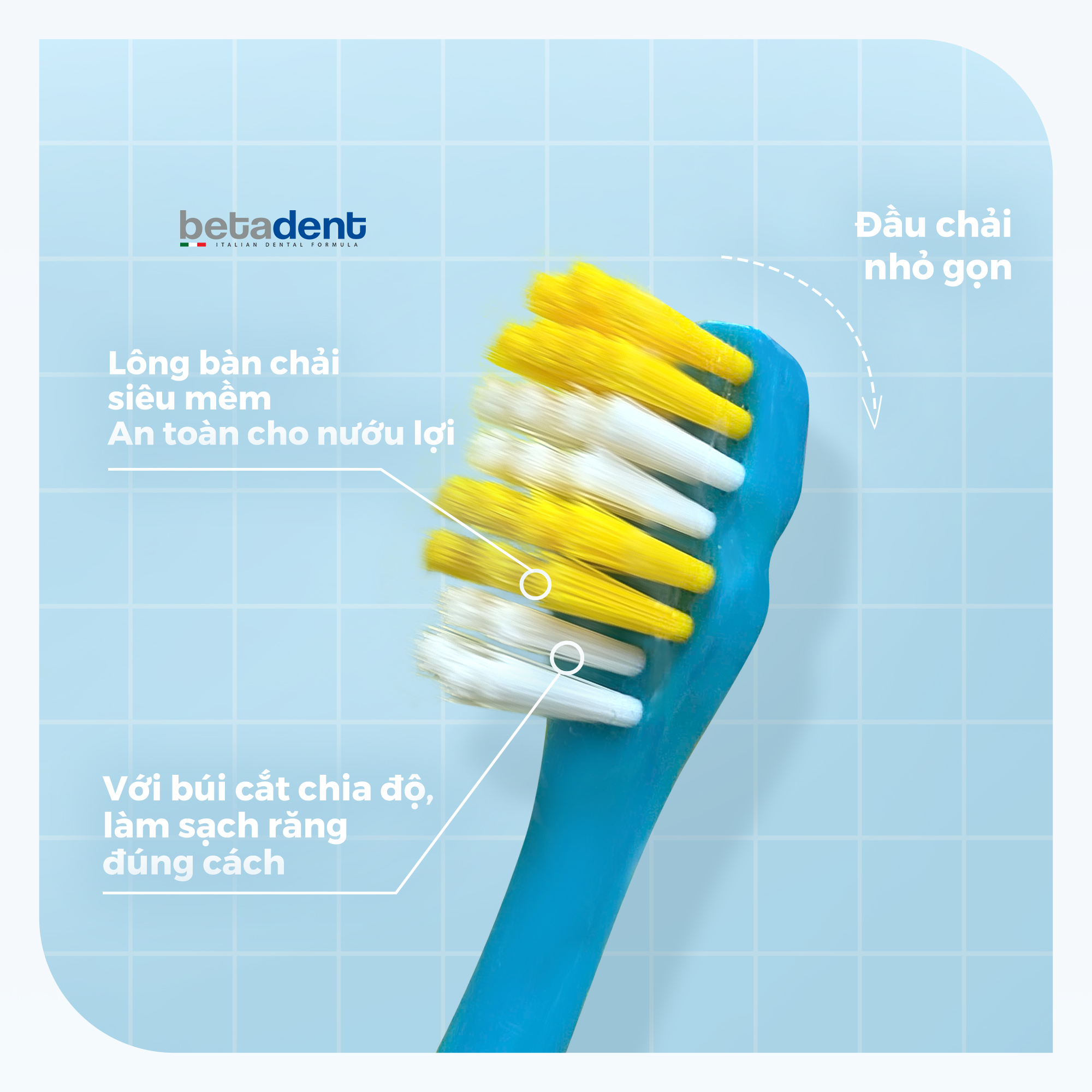 Kết Cấu Bàn Chải 5 11y