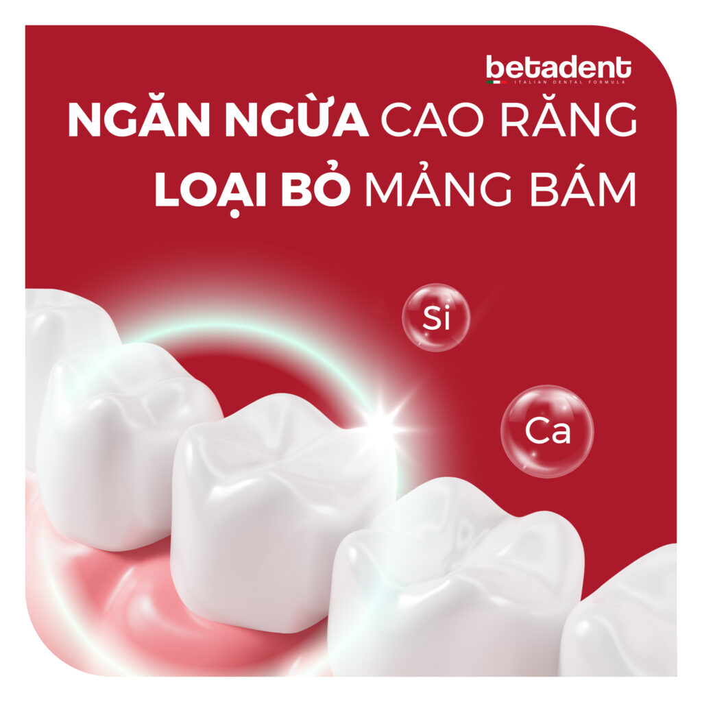 Ngăn Ngừa Cao Răng