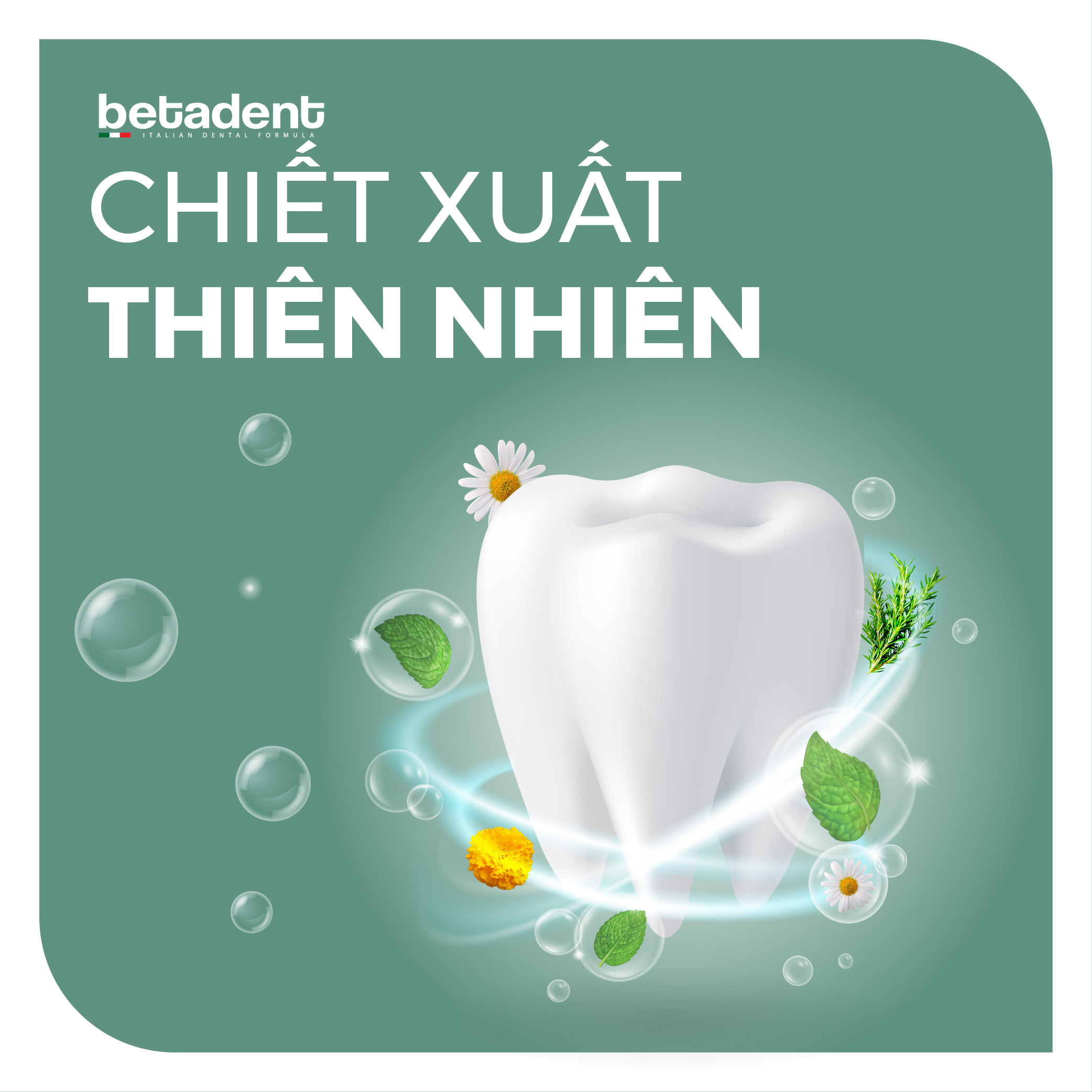 Ngăn Ngừa Sâu Răng 02